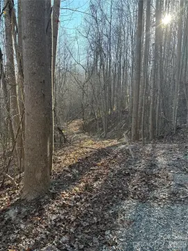 Nebo, NC Buildable Lot