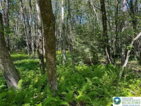 Wooded Lot in Penn Forest