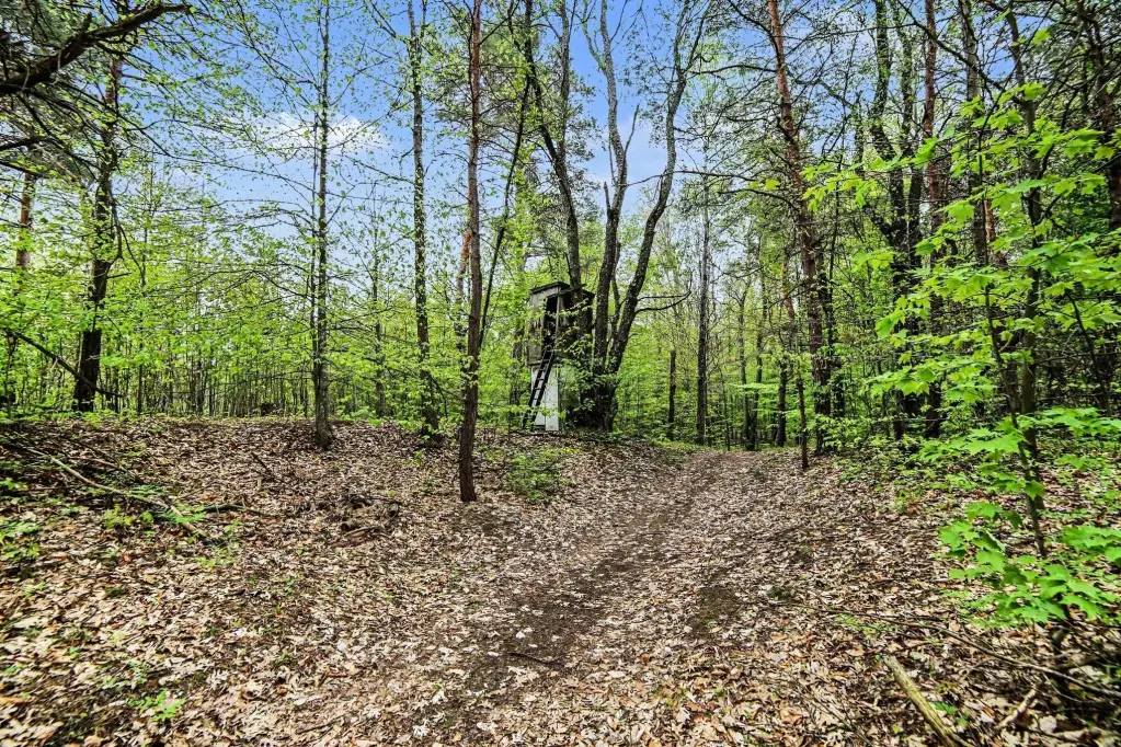 Picture 20