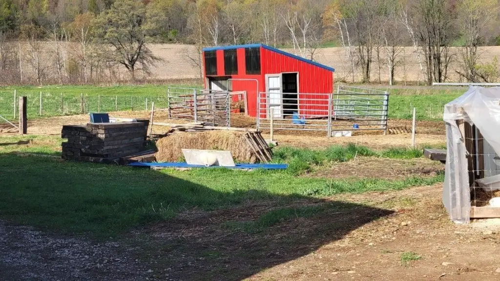 Picture 4