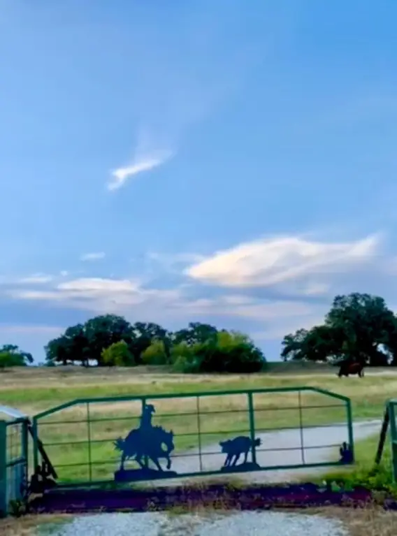 Picture 3