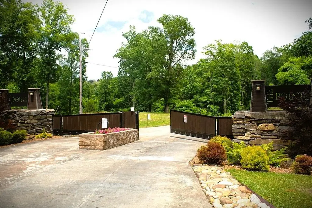 Picture 15