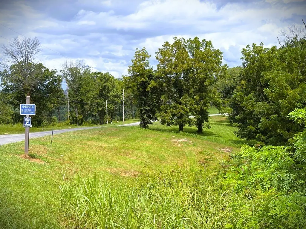 Picture 11