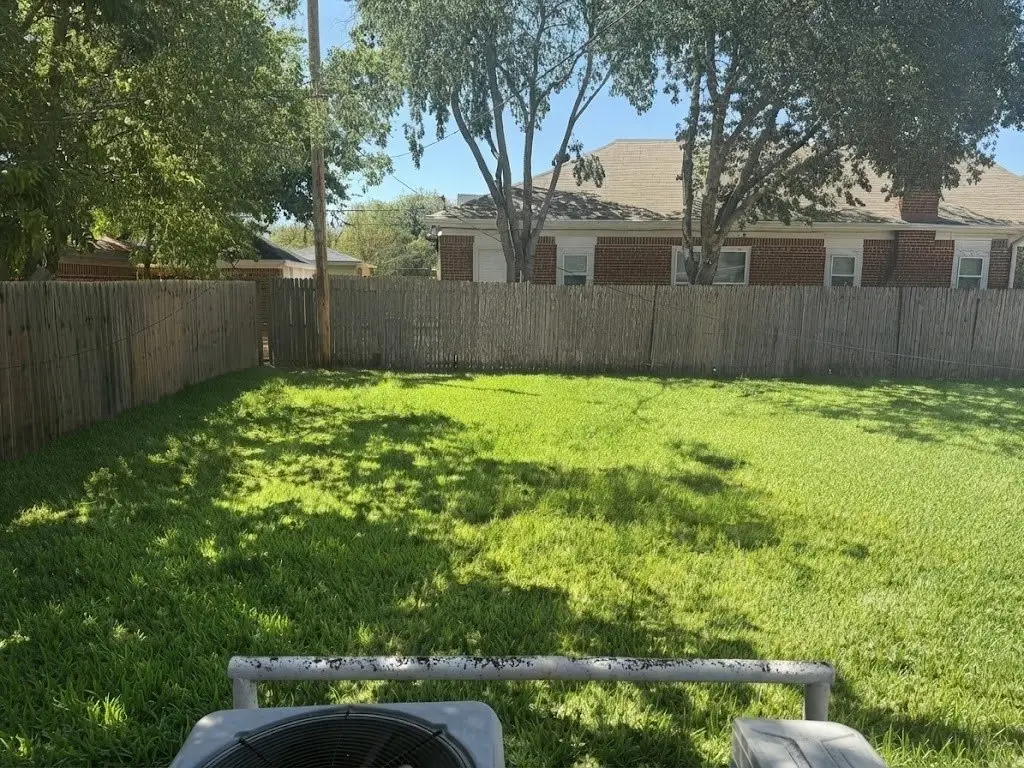 Picture 14