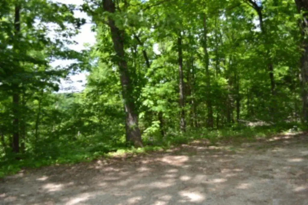 Picture 17