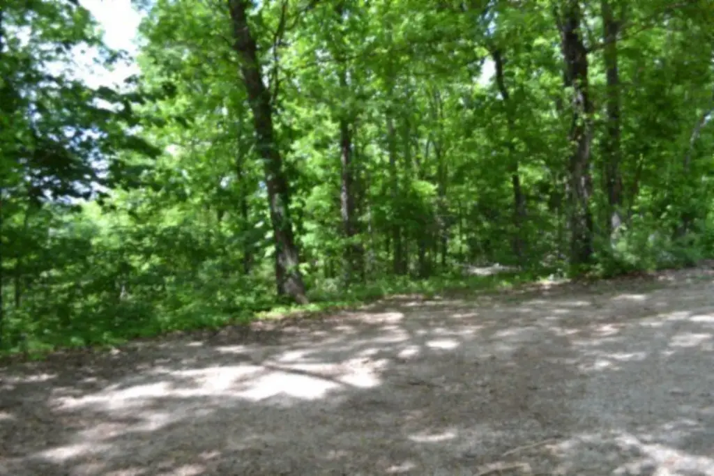 Picture 29