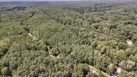 Wooded Hunting Land