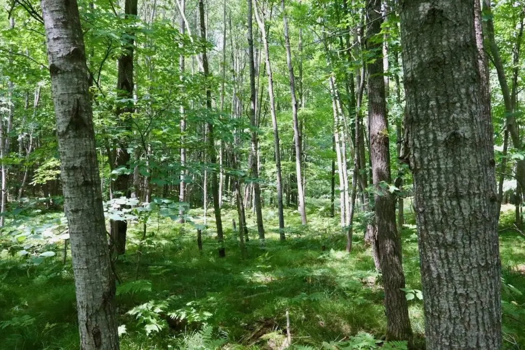 Picture 11