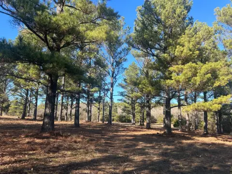 Stringtown, OK Vacant Land Opportunity