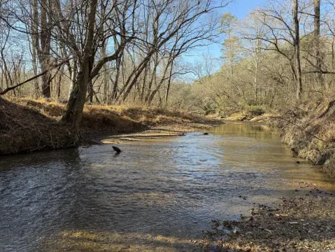 594.5 Acres of Vacant Land