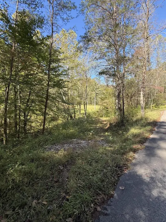 Picture 41