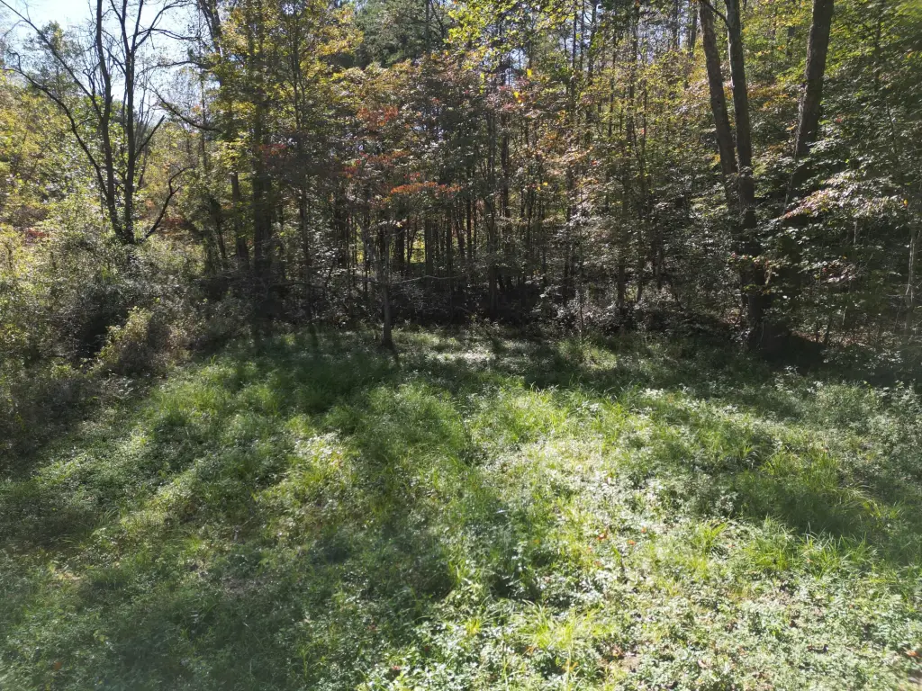 Picture 27