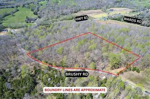 Secluded Wooded Land for Hunting