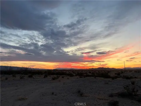 5 Acres in Wonder Valley