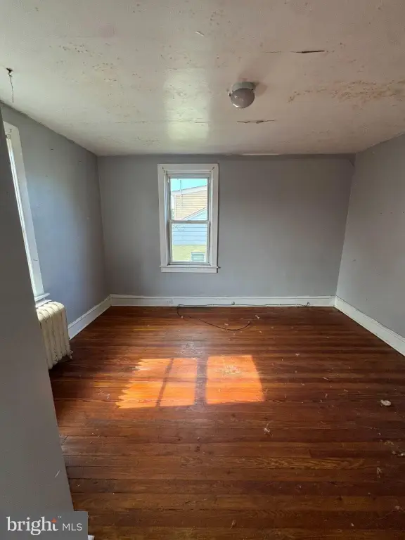 Picture 21