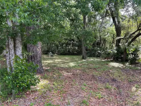 Gainesville Vacant Corner Lot