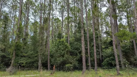 Gainesville Land with Wooded Acreage
