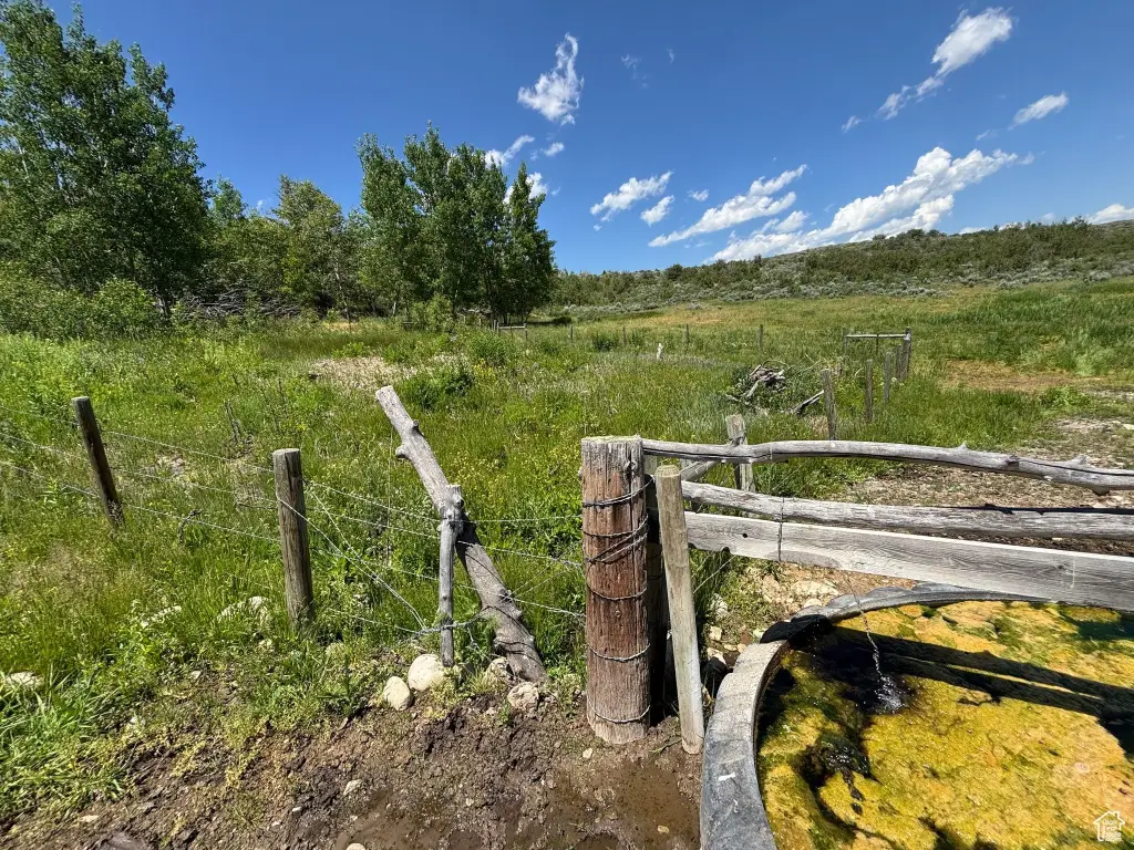 Picture 45