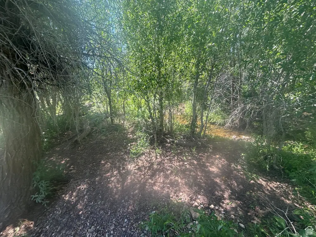 Picture 5