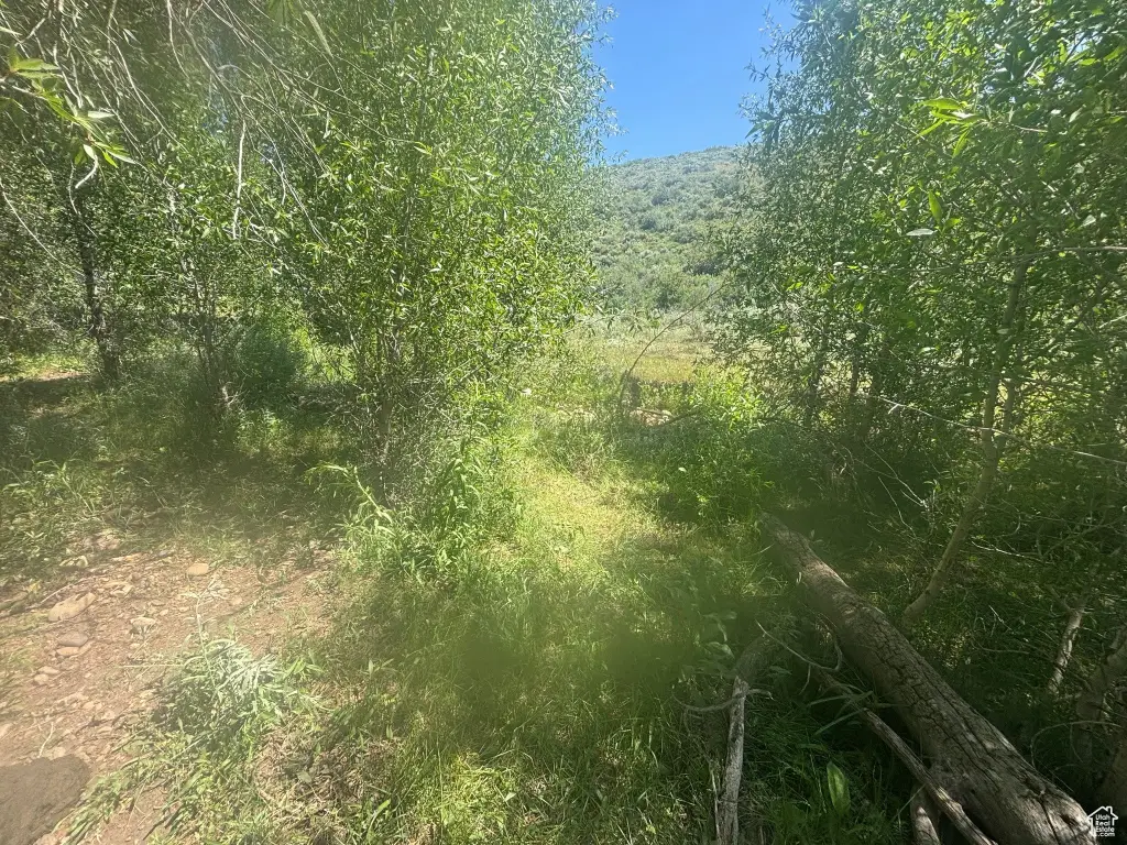 Picture 19