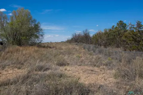 Land For Sale, Willard, NM