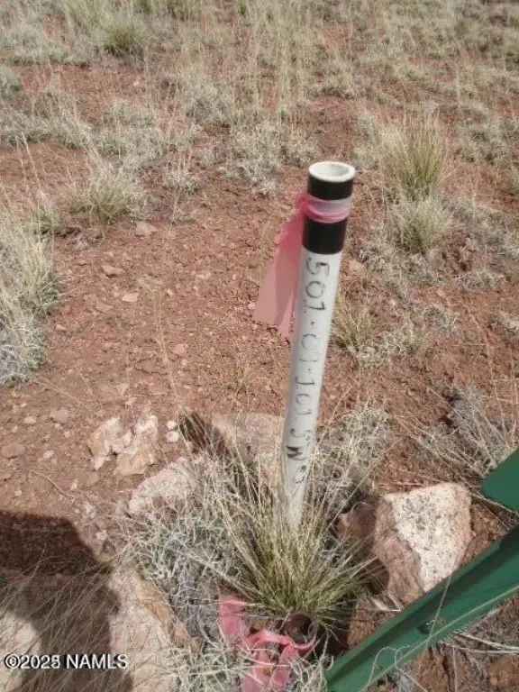 Picture 9