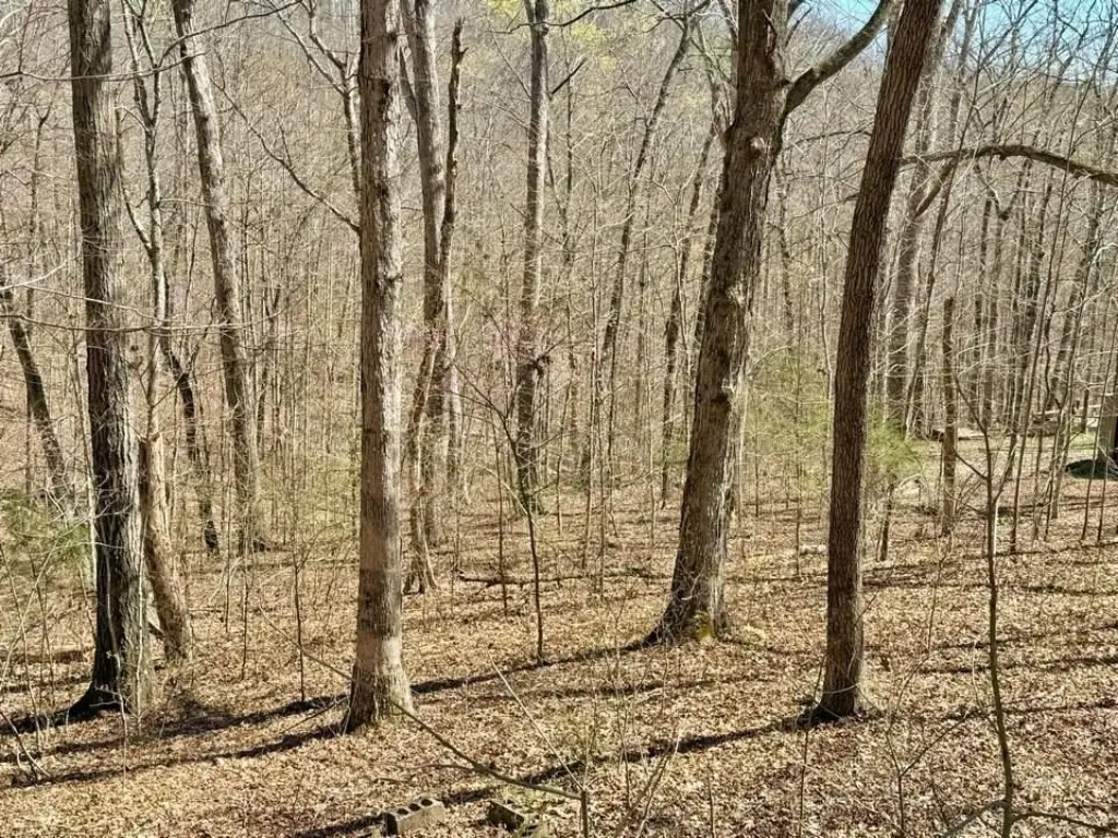 Picture 10