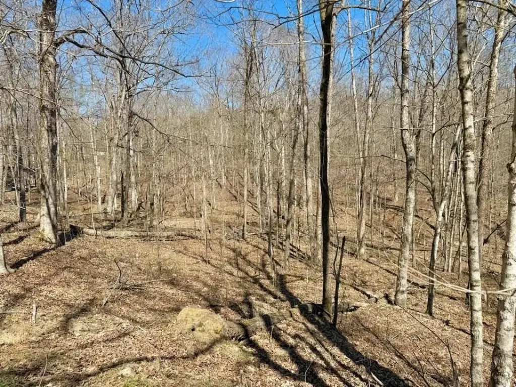 Picture 4