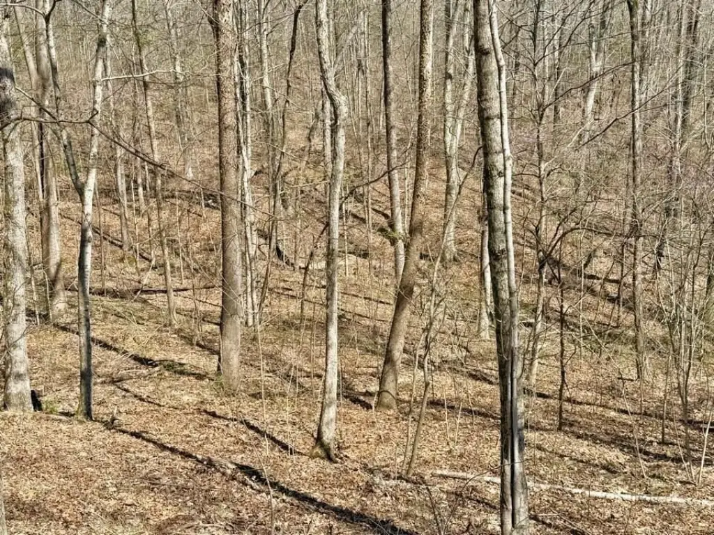 Picture 9