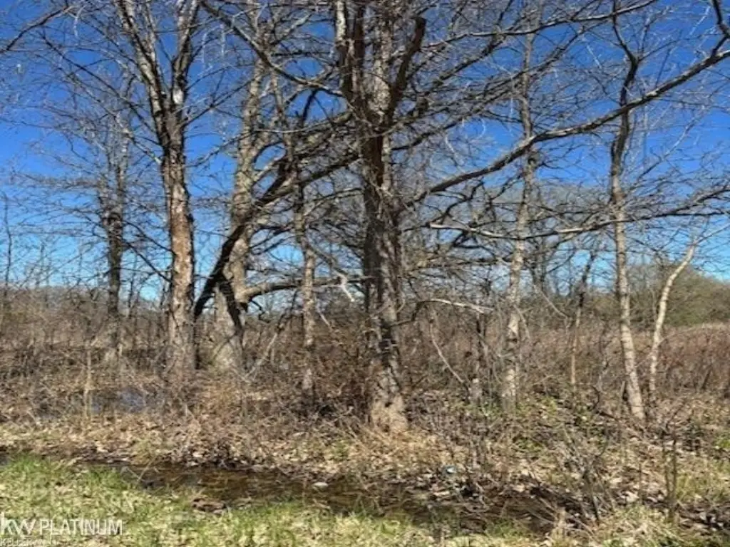 Picture 2