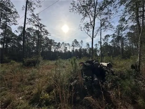 Two Acre Residential Land Parcel