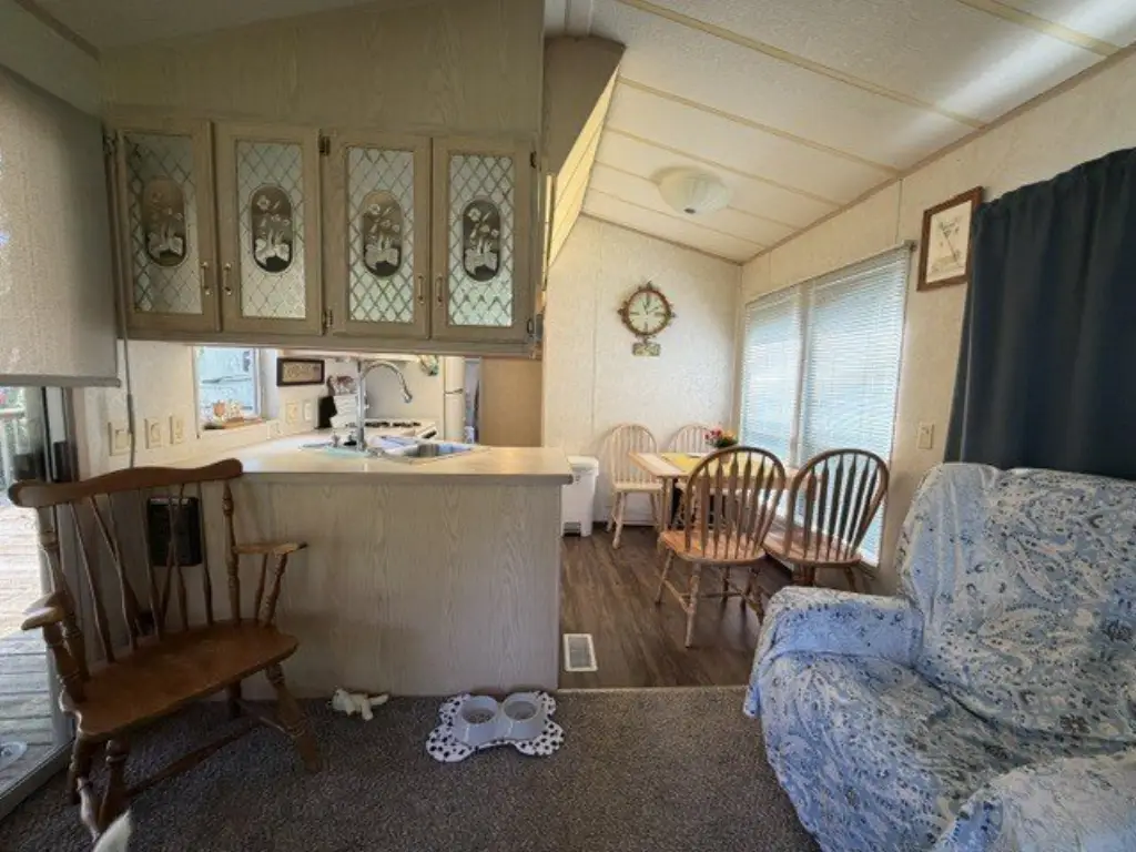 Picture 8