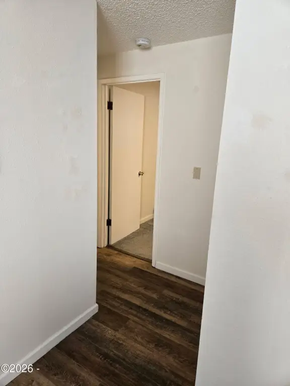 Picture 28