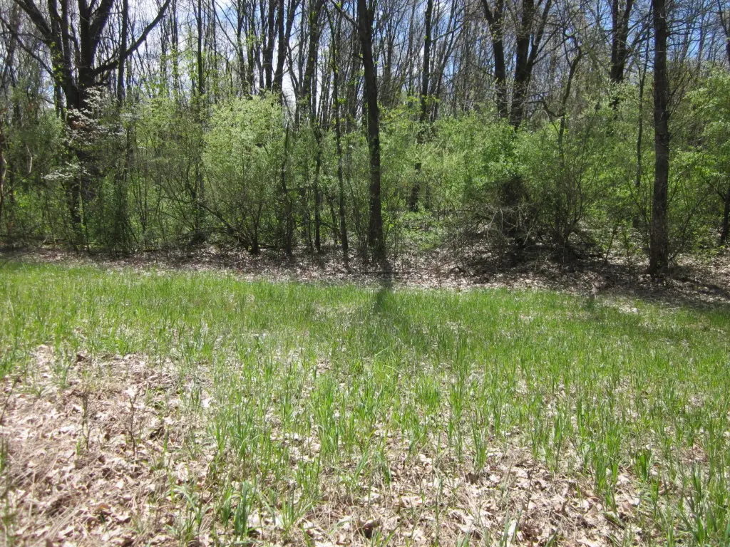 Picture 4
