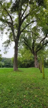 Secluded Land in Burkeville, VA