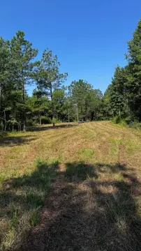 Blackstone Land with Hunting Potential