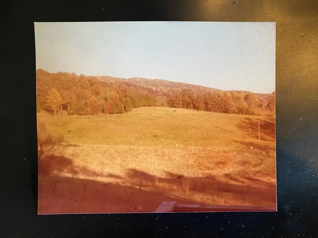 Picture 11
