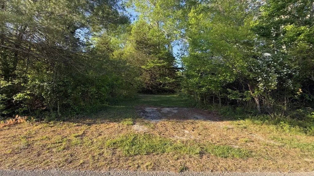 Picture 10
