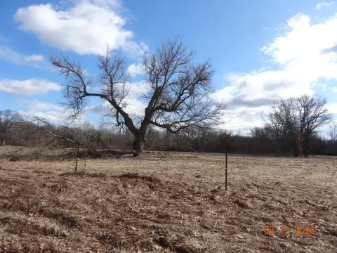 9.27 Acres in White Cloud