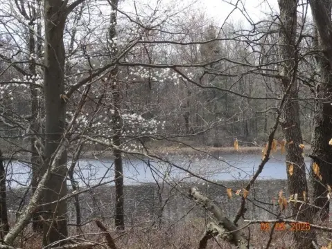 9.27 Acres in White Cloud