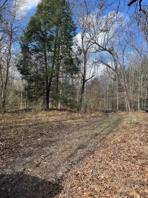 Picture 17