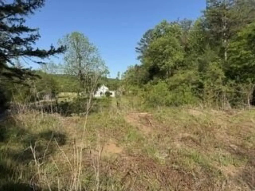 Picture 21