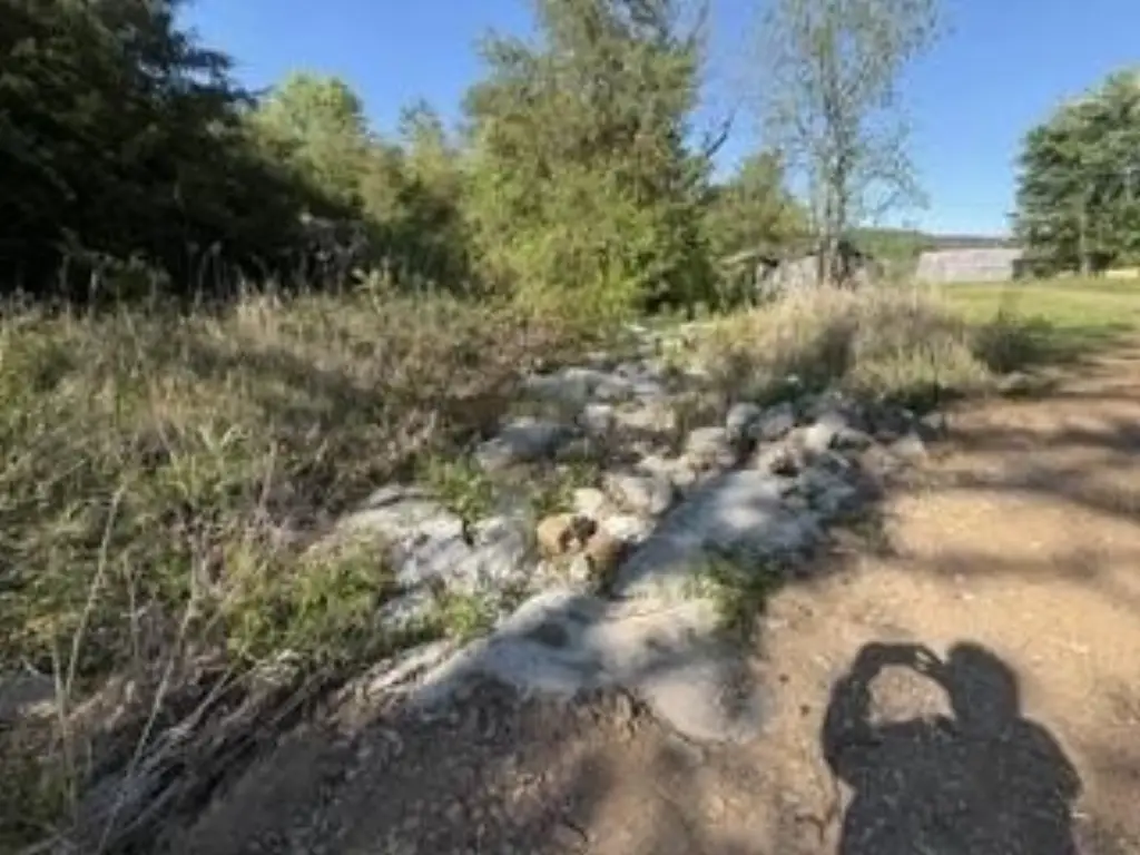 Picture 10