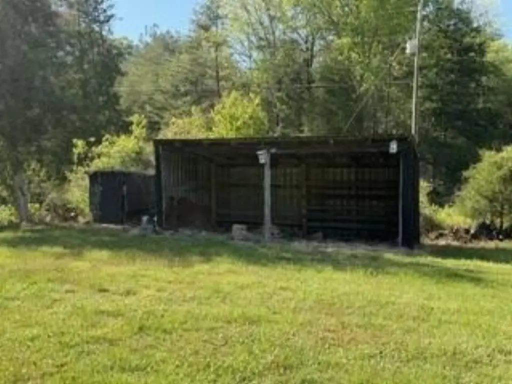 Picture 7