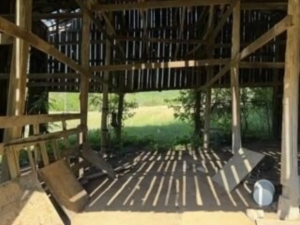 Picture 6