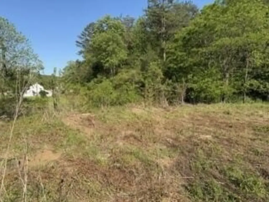 Picture 14