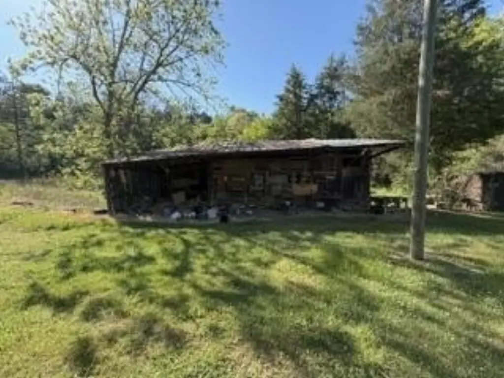 Picture 2