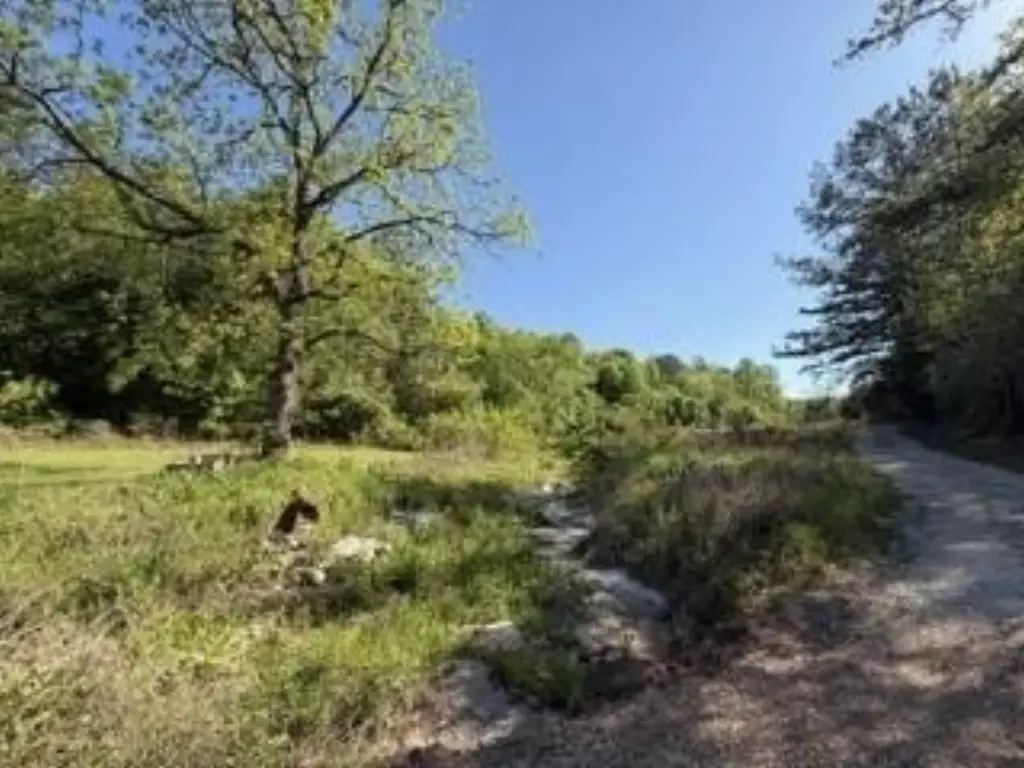 Picture 13
