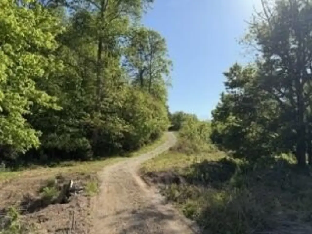 Picture 24