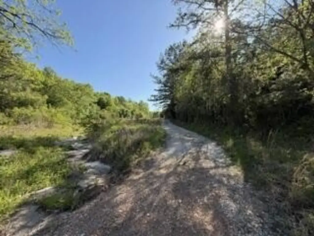 Picture 12